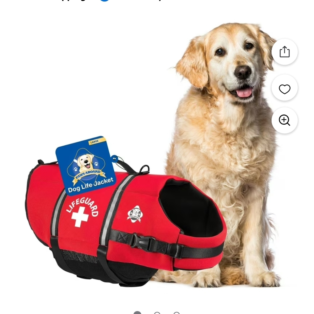 Red Dog Life Jacket